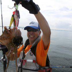 かもめ釣船 釣果
