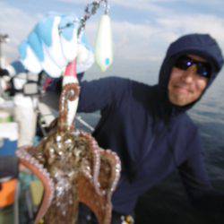 かもめ釣船 釣果