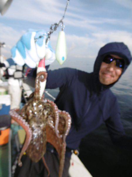 かもめ釣船 釣果