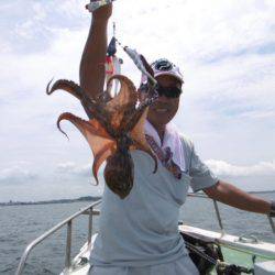 かもめ釣船 釣果