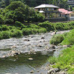 狩野川(狩野川漁業協同組合) 釣果