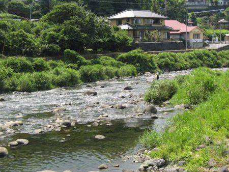 狩野川(狩野川漁業協同組合) 釣果