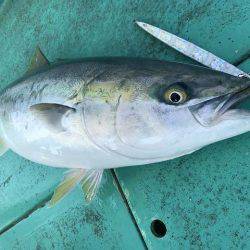 広進丸 釣果