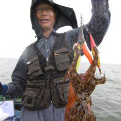 かもめ釣船 釣果