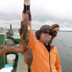 かもめ釣船 釣果