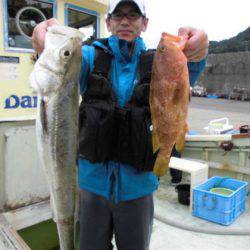 大進丸(新潟) 釣果