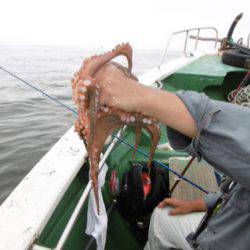 かもめ釣船 釣果
