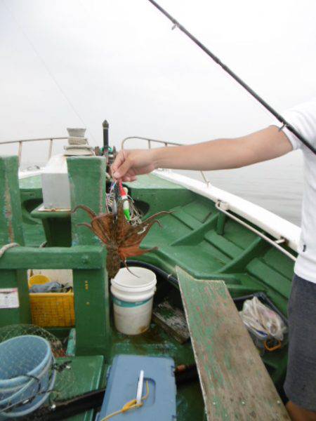 かもめ釣船 釣果