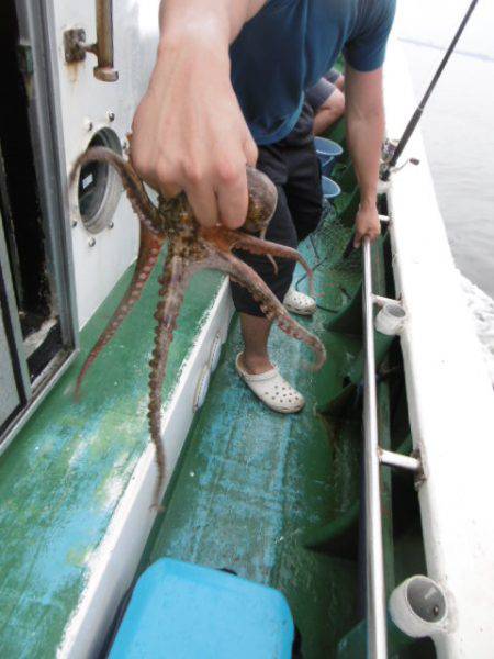 かもめ釣船 釣果