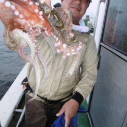 かもめ釣船 釣果