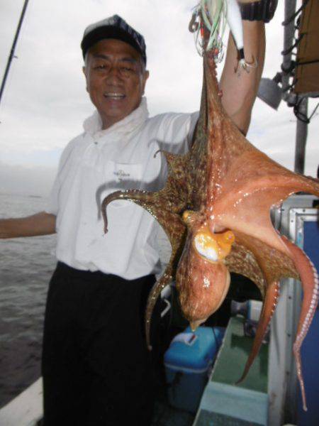 かもめ釣船 釣果