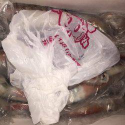 幸風（さちかぜ） 釣果