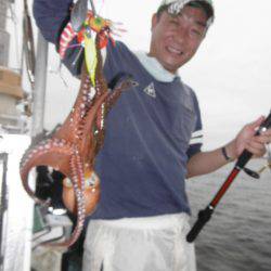 かもめ釣船 釣果