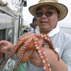 かもめ釣船 釣果