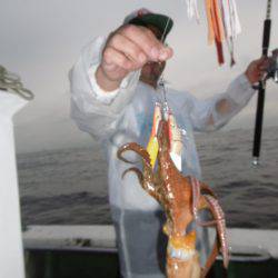 かもめ釣船 釣果