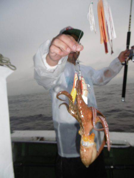 かもめ釣船 釣果