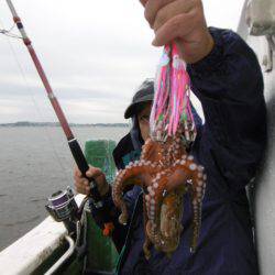 かもめ釣船 釣果