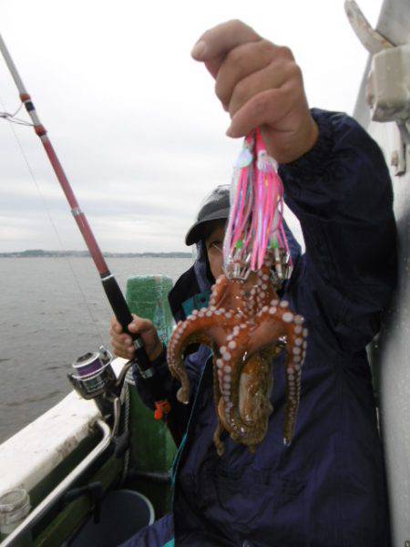 かもめ釣船 釣果