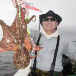 かもめ釣船 釣果