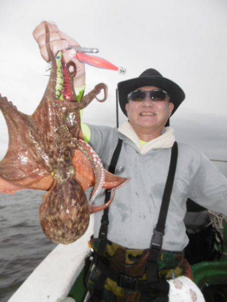 かもめ釣船 釣果