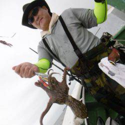 かもめ釣船 釣果