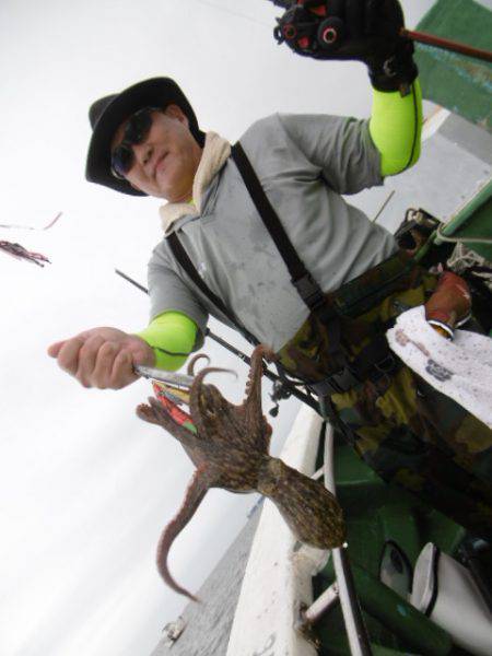 かもめ釣船 釣果