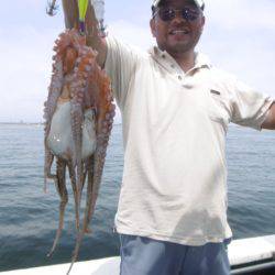 かもめ釣船 釣果