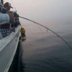 第五慶門丸 釣果