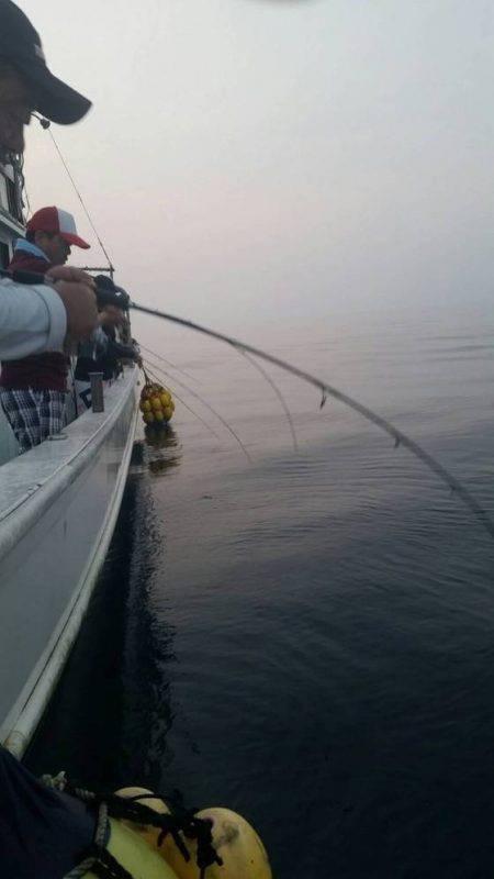 第五慶門丸 釣果