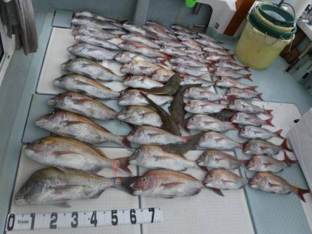 遊漁船 幸友丸 釣果