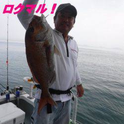 遊漁船 幸友丸 釣果