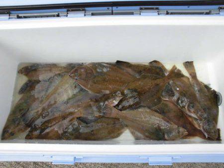 大進丸(新潟) 釣果