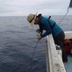 清和丸 釣果