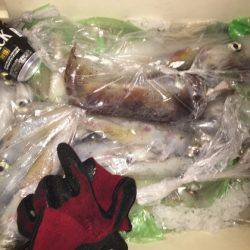 幸風（さちかぜ） 釣果