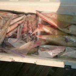 寿裕 （YOSHIHIRO） 釣果