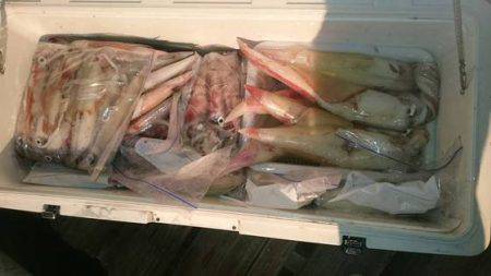 寿裕 （YOSHIHIRO） 釣果