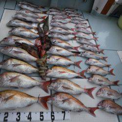 遊漁船 幸友丸 釣果