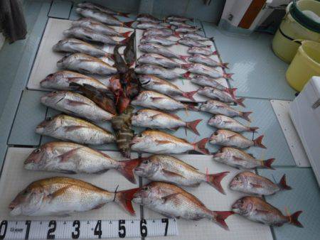 遊漁船 幸友丸 釣果