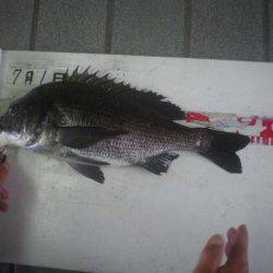 姫路市立遊魚センター 釣果
