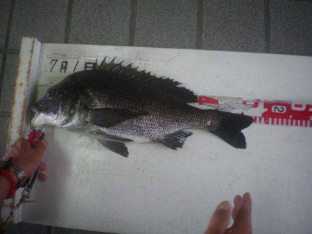 姫路市立遊魚センター 釣果