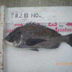 姫路市立遊魚センター 釣果