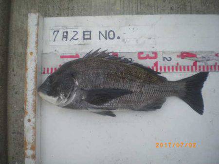 姫路市立遊魚センター 釣果