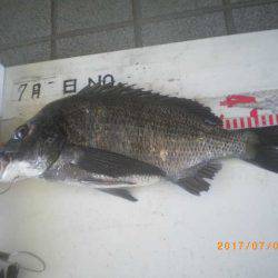 姫路市立遊魚センター 釣果