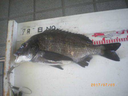 姫路市立遊魚センター 釣果