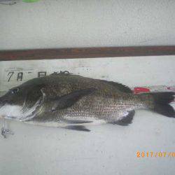 姫路市立遊魚センター 釣果