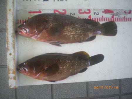 姫路市立遊魚センター 釣果