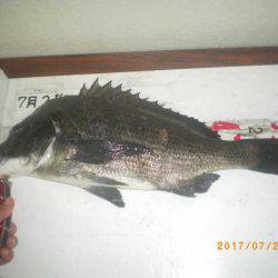 姫路市立遊魚センター 釣果