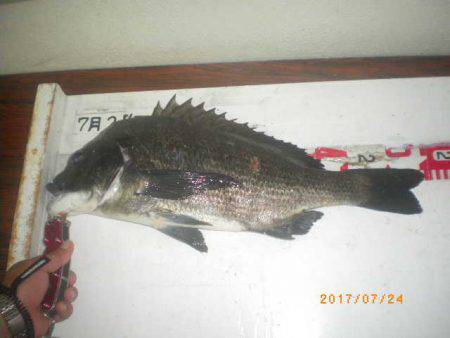 姫路市立遊魚センター 釣果