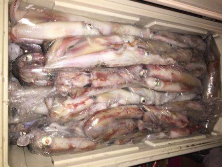 幸風（さちかぜ） 釣果