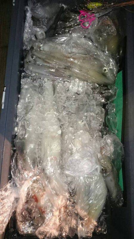 寿裕 （YOSHIHIRO） 釣果